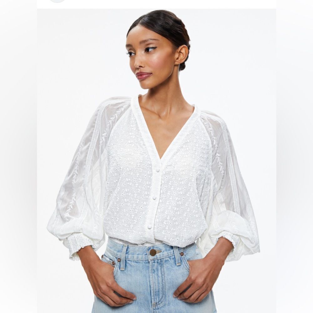 Alice + Olivia LANG EMBROIDERED BUTTON DOWN BLOUSE Embroidered Floral NWT $375